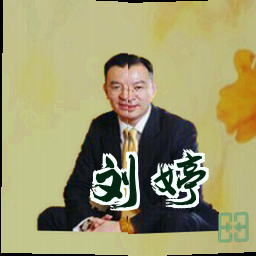 刘婷